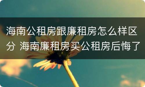 海南公租房跟廉租房怎么样区分 海南廉租房买公租房后悔了