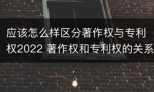 应该怎么样区分著作权与专利权2022 著作权和专利权的关系如何