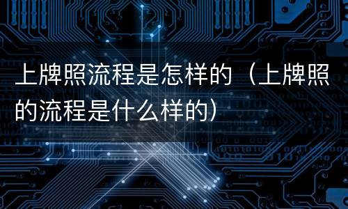 上牌照流程是怎样的（上牌照的流程是什么样的）