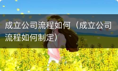 成立公司流程如何（成立公司流程如何制定）