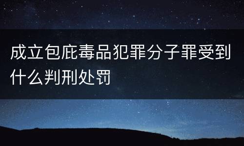 成立包庇毒品犯罪分子罪受到什么判刑处罚