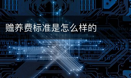赡养费标准是怎么样的