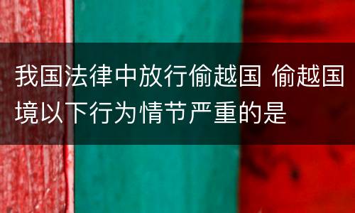 我国法律中放行偷越国 偷越国境以下行为情节严重的是