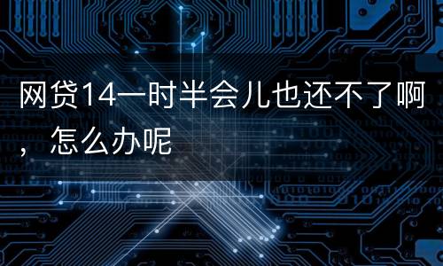 网贷14一时半会儿也还不了啊，怎么办呢