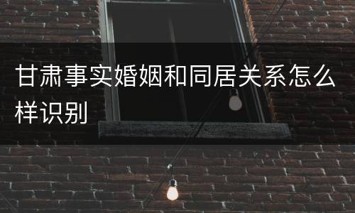 甘肃事实婚姻和同居关系怎么样识别