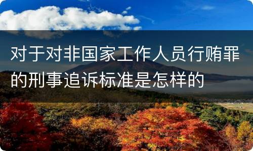 对于对非国家工作人员行贿罪的刑事追诉标准是怎样的