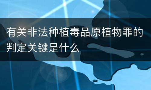 有关非法种植毒品原植物罪的判定关键是什么