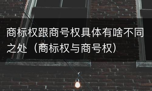 商标权跟商号权具体有啥不同之处（商标权与商号权）