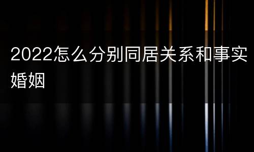 2022怎么分别同居关系和事实婚姻