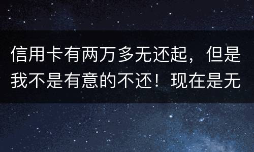 信用卡有两万多无还起，但是我不是有意的不还！现在是无钱还，银行会要怎样样