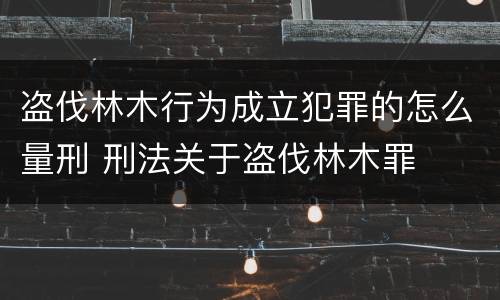 盗伐林木行为成立犯罪的怎么量刑 刑法关于盗伐林木罪