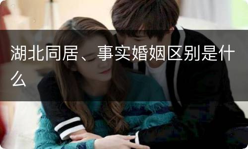 湖北同居、事实婚姻区别是什么