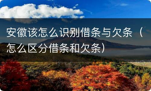 安徽该怎么识别借条与欠条（怎么区分借条和欠条）