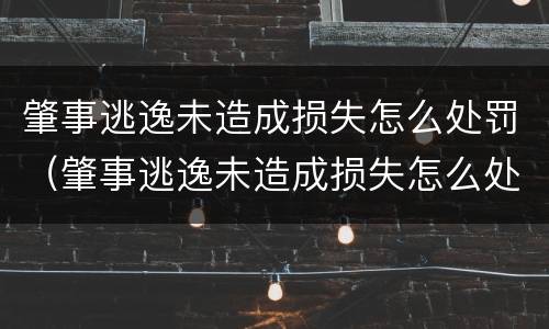 肇事逃逸未造成损失怎么处罚（肇事逃逸未造成损失怎么处罚的）