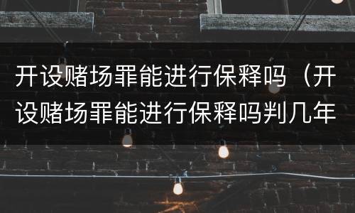 开设赌场罪能进行保释吗（开设赌场罪能进行保释吗判几年）