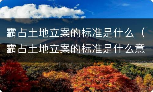 霸占土地立案的标准是什么（霸占土地立案的标准是什么意思）