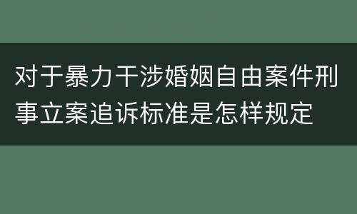 对于暴力干涉婚姻自由案件刑事立案追诉标准是怎样规定