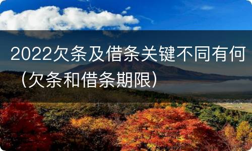 2022欠条及借条关键不同有何（欠条和借条期限）