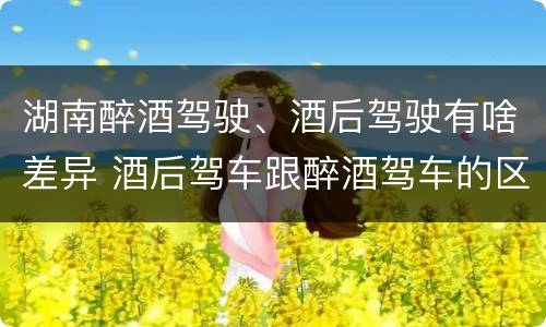 湖南醉酒驾驶、酒后驾驶有啥差异 酒后驾车跟醉酒驾车的区别
