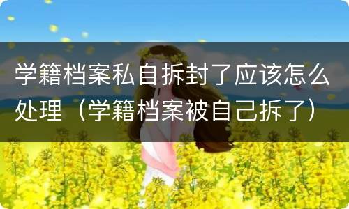 学籍档案私自拆封了应该怎么处理（学籍档案被自己拆了）