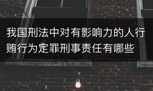 我国刑法中对有影响力的人行贿行为定罪刑事责任有哪些