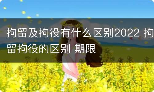 拘留及拘役有什么区别2022 拘留拘役的区别 期限