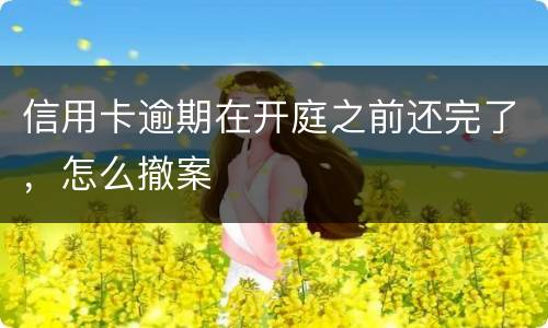 信用卡逾期在开庭之前还完了，怎么撤案