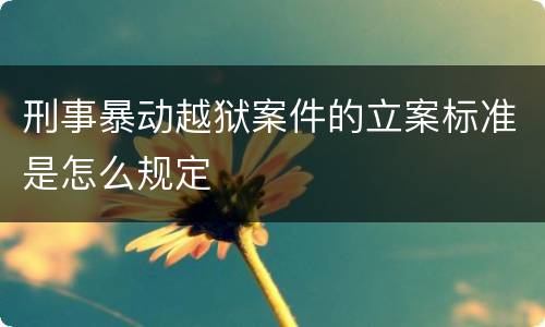 刑事暴动越狱案件的立案标准是怎么规定