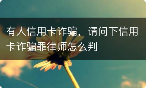 有人信用卡诈骗，请问下信用卡诈骗罪律师怎么判