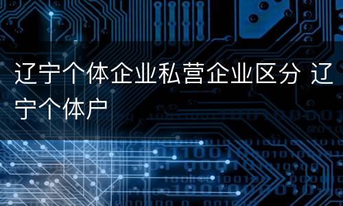 辽宁个体企业私营企业区分 辽宁个体户