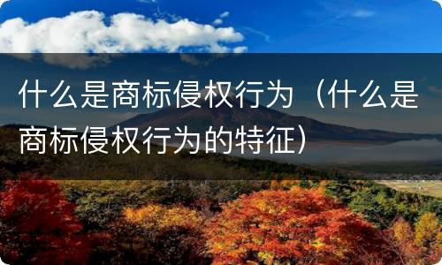 什么是商标侵权行为（什么是商标侵权行为的特征）