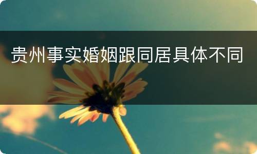 贵州事实婚姻跟同居具体不同