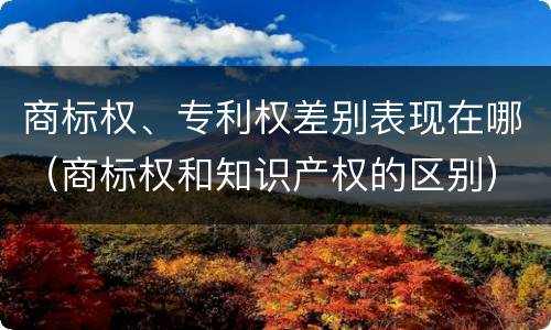 商标权、专利权差别表现在哪（商标权和知识产权的区别）
