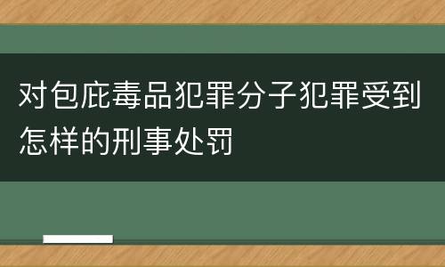 对包庇毒品犯罪分子犯罪受到怎样的刑事处罚