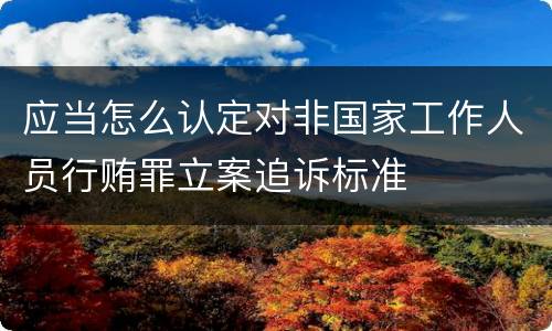 应当怎么认定对非国家工作人员行贿罪立案追诉标准