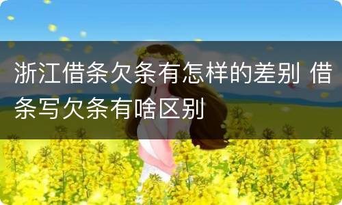 浙江借条欠条有怎样的差别 借条写欠条有啥区别