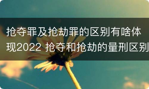 抢夺罪及抢劫罪的区别有啥体现2022 抢夺和抢劫的量刑区别