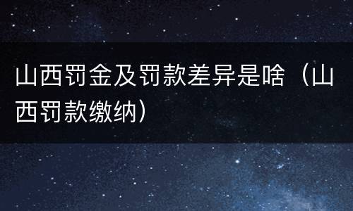 山西罚金及罚款差异是啥（山西罚款缴纳）