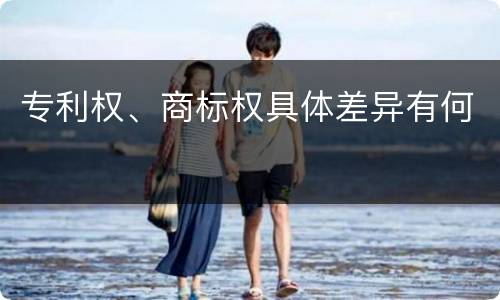 专利权、商标权具体差异有何