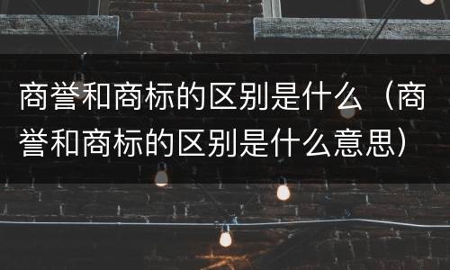 商誉和商标的区别是什么（商誉和商标的区别是什么意思）