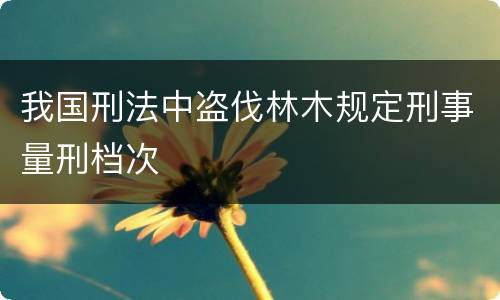 我国刑法中盗伐林木规定刑事量刑档次
