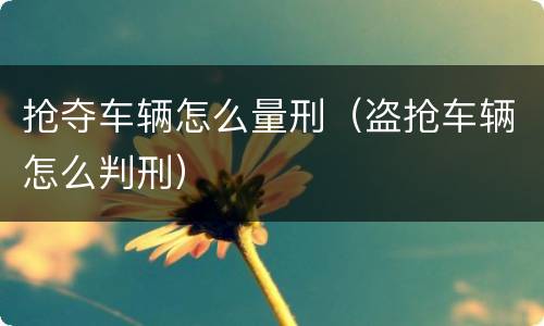 抢夺车辆怎么量刑（盗抢车辆怎么判刑）