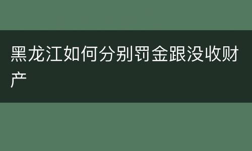 黑龙江如何分别罚金跟没收财产