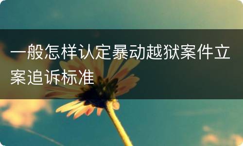 一般怎样认定暴动越狱案件立案追诉标准