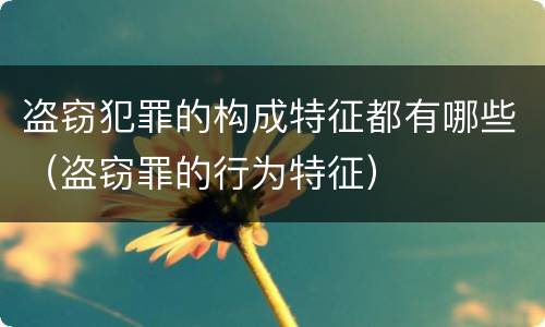 盗窃犯罪的构成特征都有哪些（盗窃罪的行为特征）