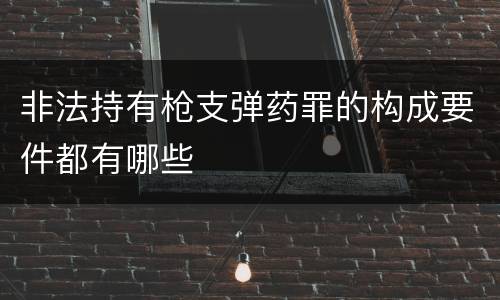 非法持有枪支弹药罪的构成要件都有哪些