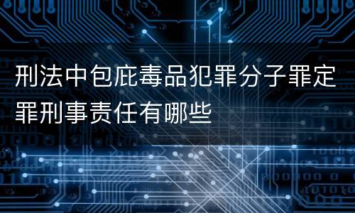 刑法中包庇毒品犯罪分子罪定罪刑事责任有哪些