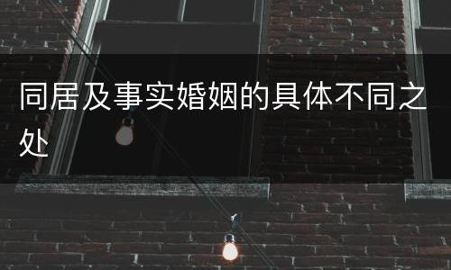 同居及事实婚姻的具体不同之处