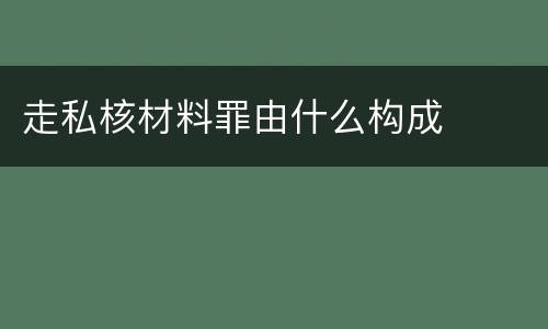 走私核材料罪由什么构成