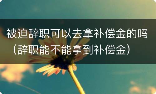 被迫辞职可以去拿补偿金的吗（辞职能不能拿到补偿金）